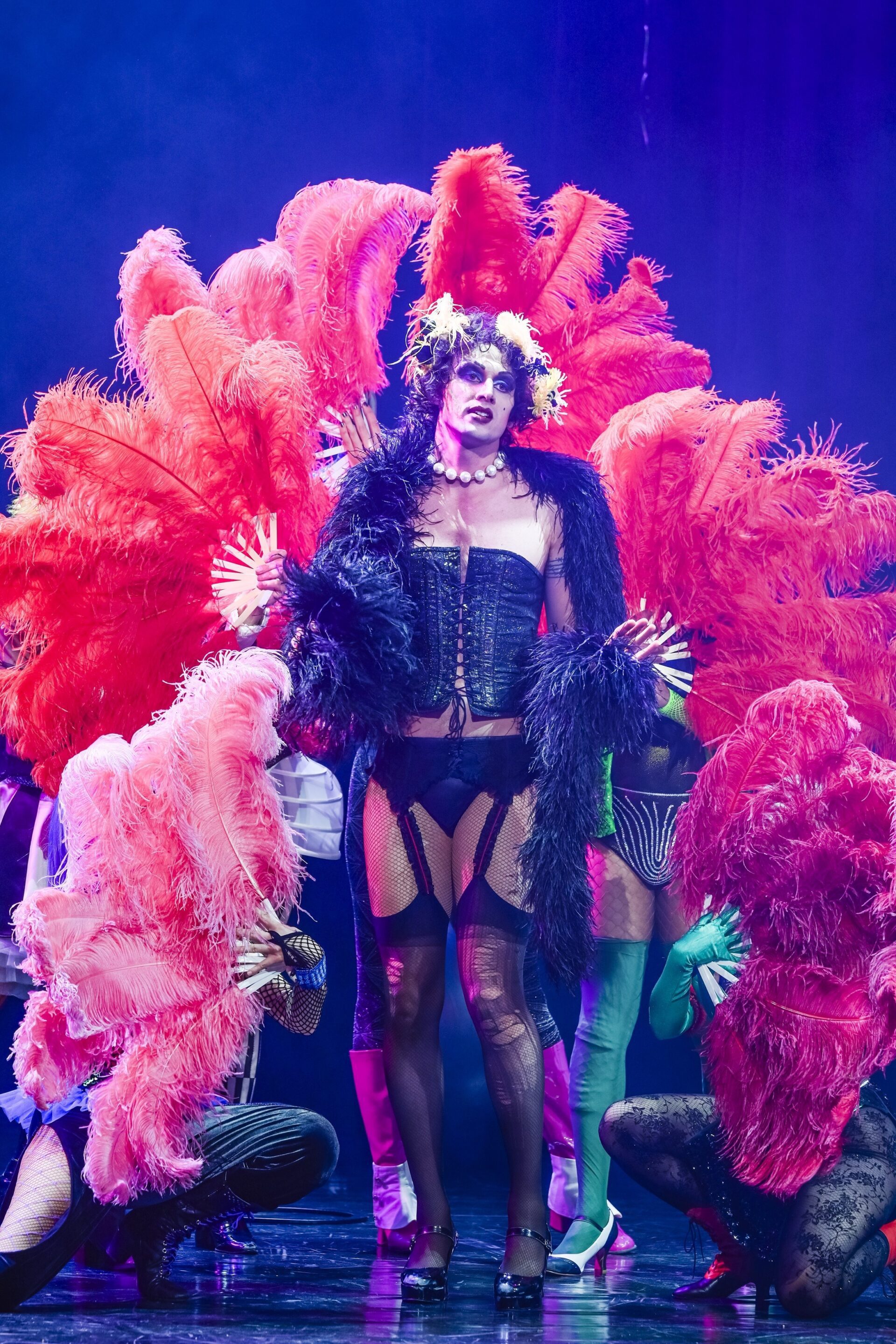 The Rocky Horror Show 8 2643 the rocky horror show 1600 | MUSICAL TODAY
