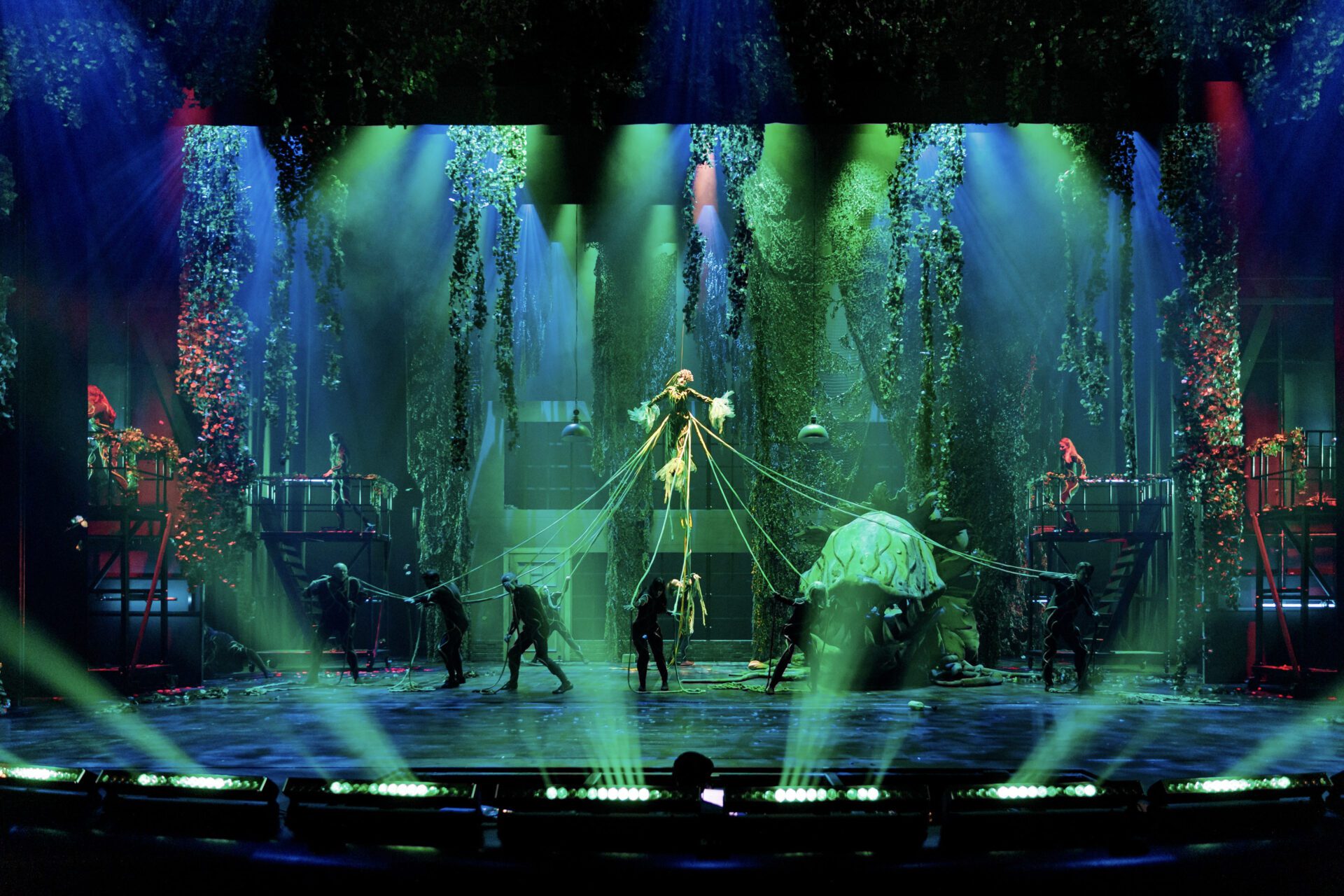 Der kleine Horrorladen 12 154 G53I3524 | MUSICAL TODAY