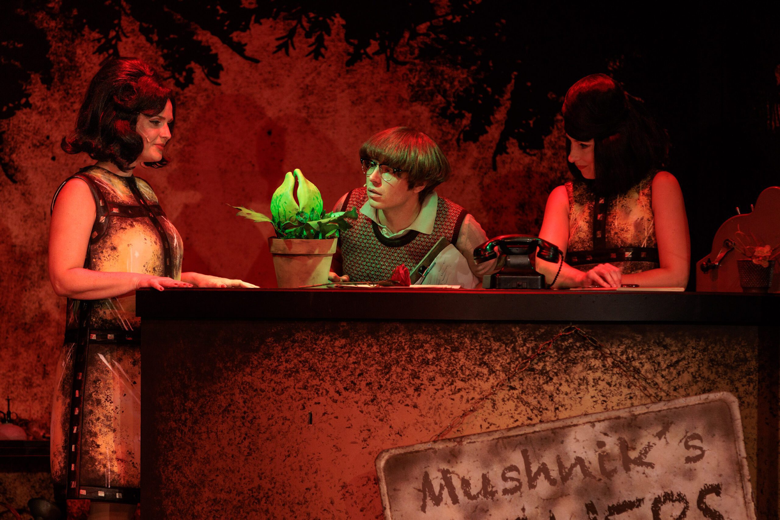 Der kleine Horrorladen 7 Media Image1