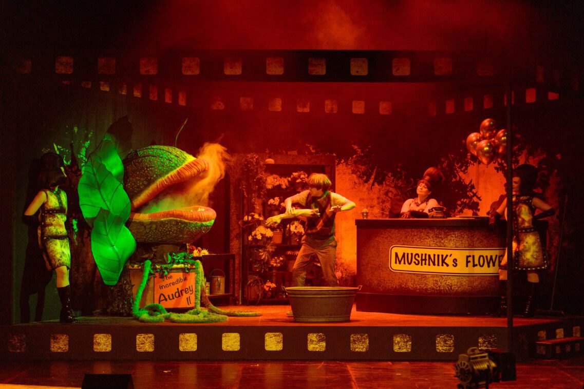 Der kleine Horrorladen 5 Horrorladen 023 | MUSICAL TODAY