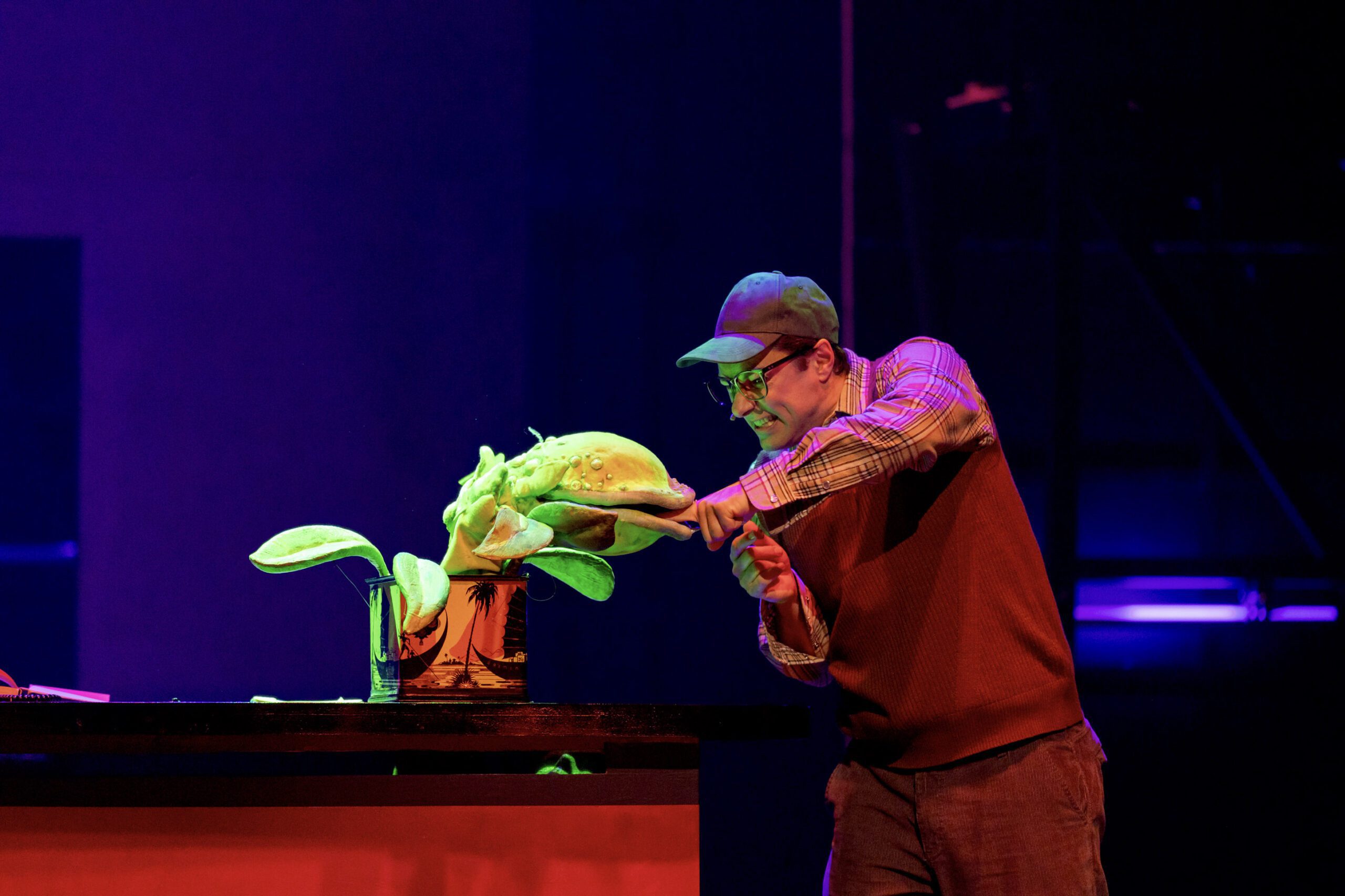 Der kleine Horrorladen 8 Media Image2