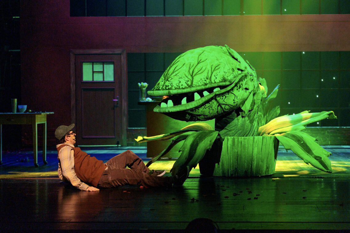 Der kleine Horrorladen 5 51 2Y9A8281 | MUSICAL TODAY