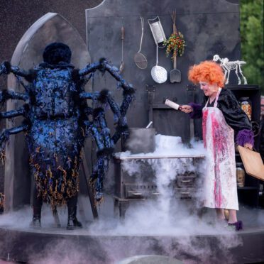 11 TM The Addams Family April Hailer Statisterie HPK 207 c Andreas Lander | MUSICAL TODAY