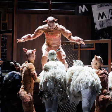 134 tfn farmdertiere timmueller | MUSICAL TODAY