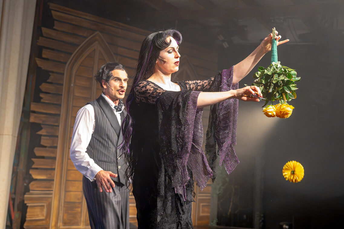 The Addams Family 5 8048 03 the addams family foto thomas ulrich | MUSICAL TODAY